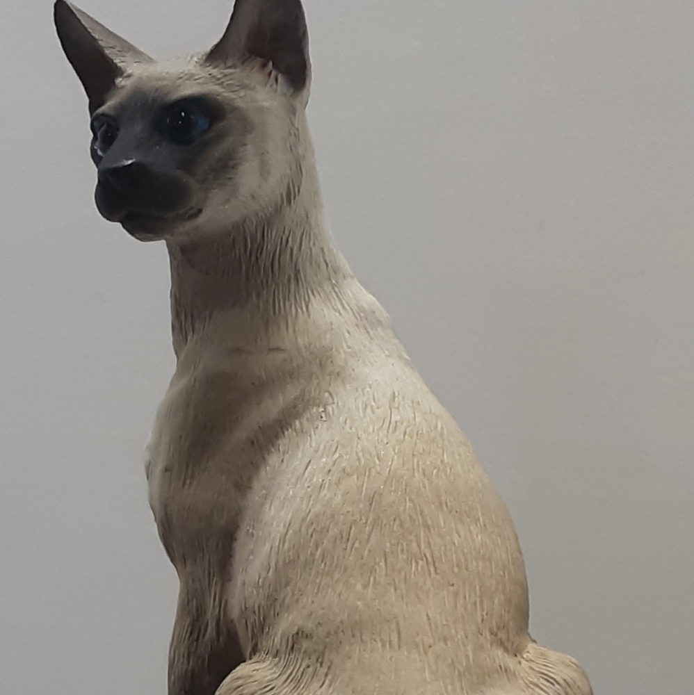 SIAMESE CAT MEMORIAL DISPLAY - Picture 2 of 3